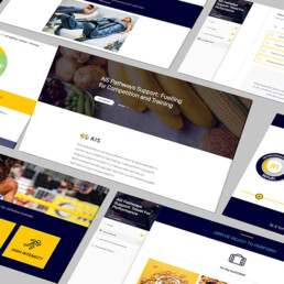AIS eLearning modules mock-up