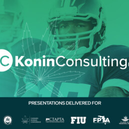 Konin Consulting presentation image
